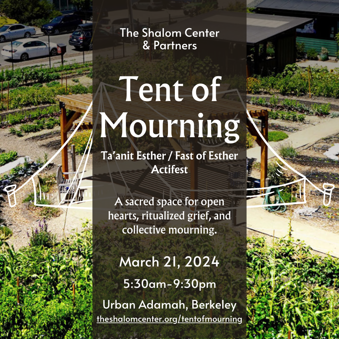 Tent of Mourning: Ta'anit Esther Actifest