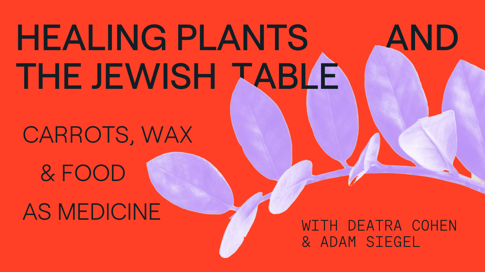 Healing Plants and the Jewish Table: Carrots, Wax, and Food as Medicine