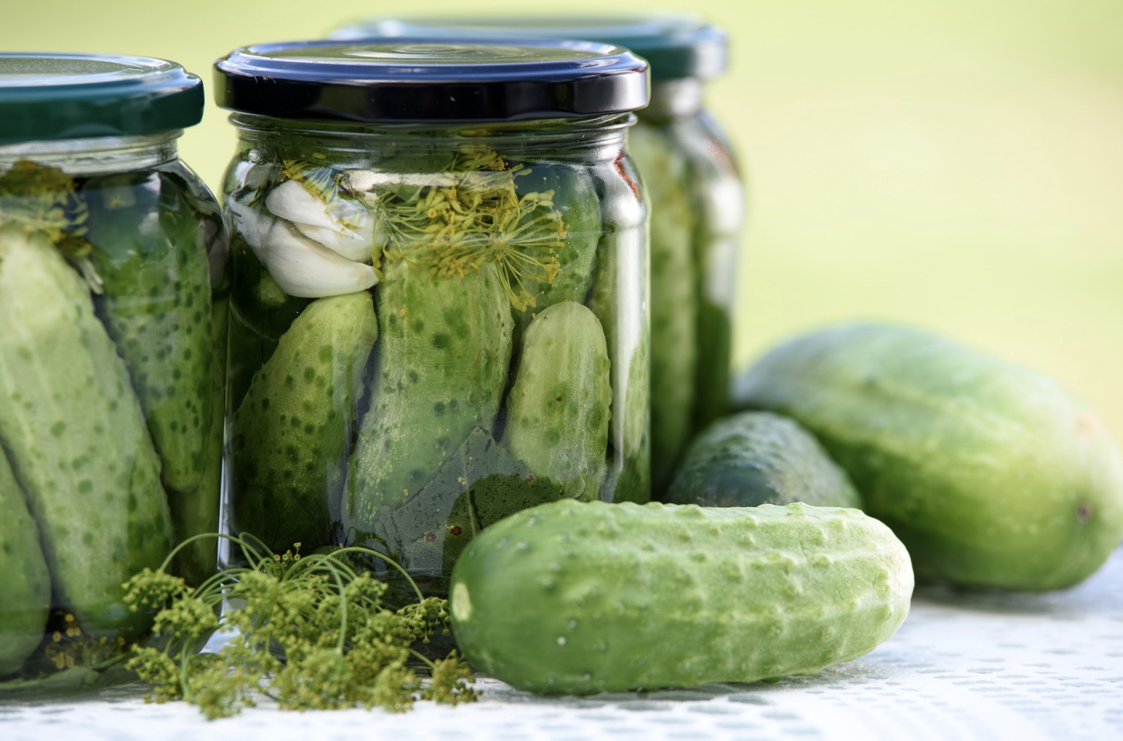 Rachel B. Gross—A Pickle Problem: The Deli Revival and American Jewish Religion (on Zoom)