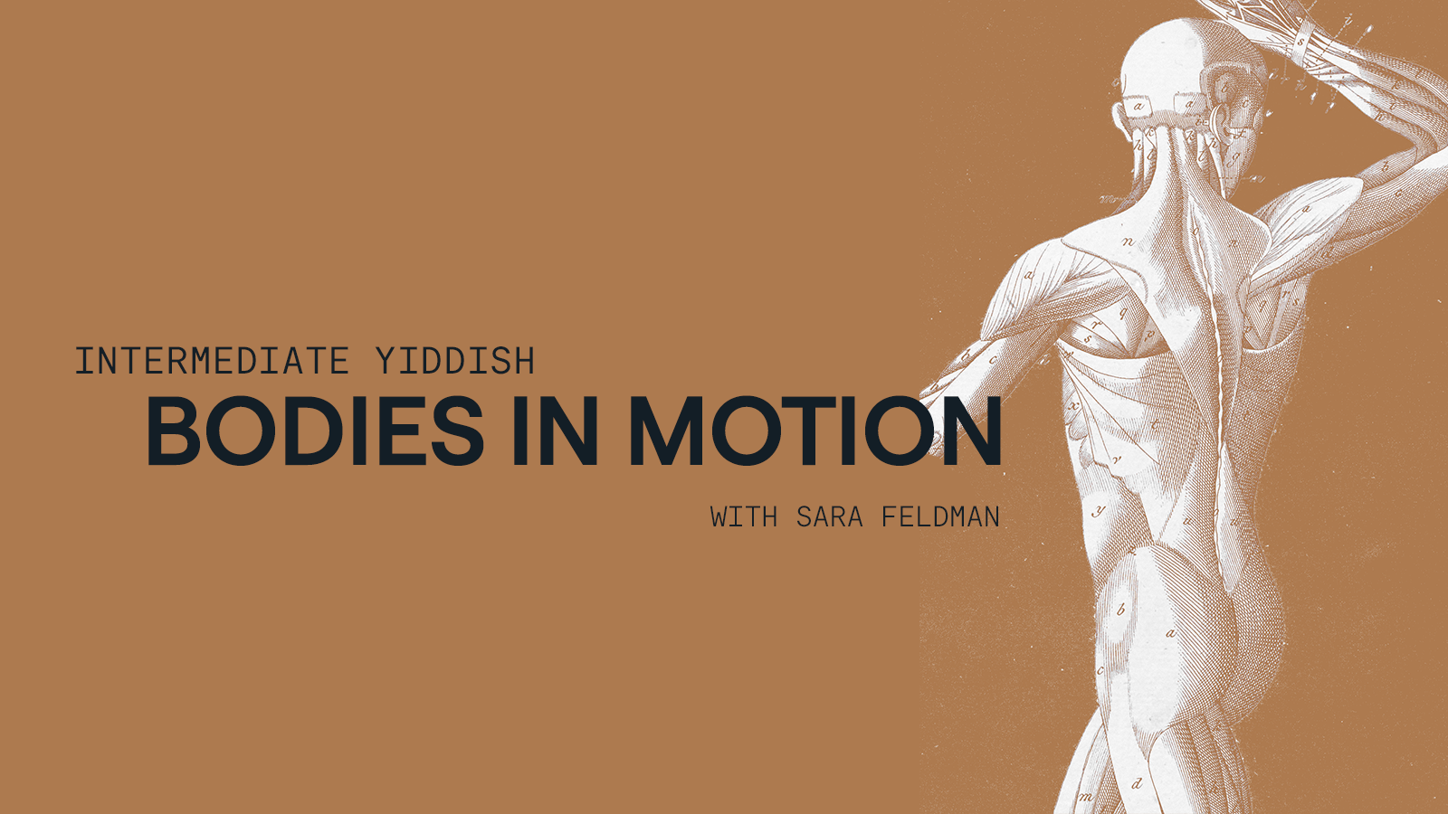 Yiddish: Bodies in Motion