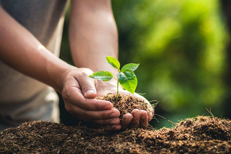 Rabbi Peretz Wolf-Prusan & Rachel Biale—What REALLY Happens on Tu BiShvat: From the Kabbalah to the Kibbutz (Zoom only)